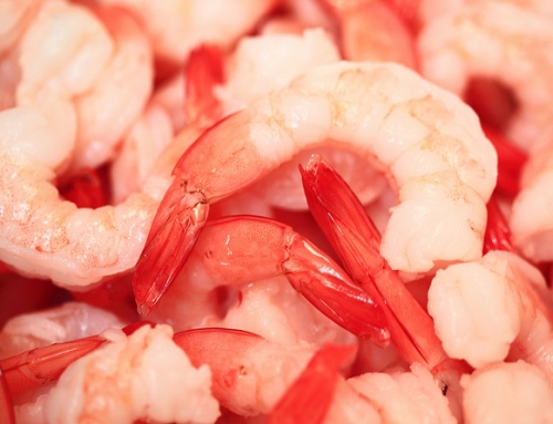 Shrimp-Early Mortality Syndrome